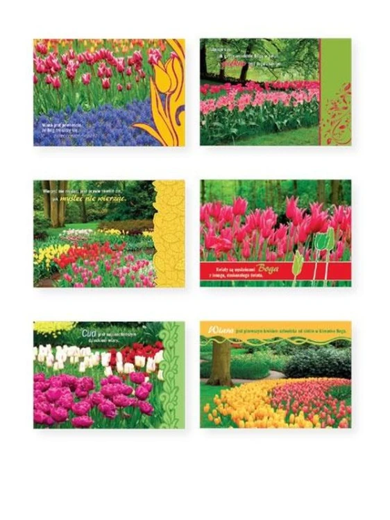 TULIPANY kartki ep 1-12 60  szt. - ! - 08248 5907564016698