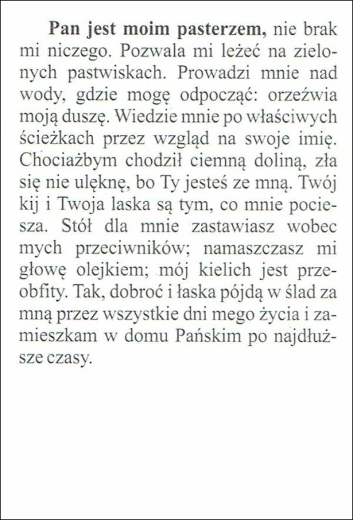 Obrazek Pasterz. Modlitwa: Pan jest moim pasterzem... - 07136