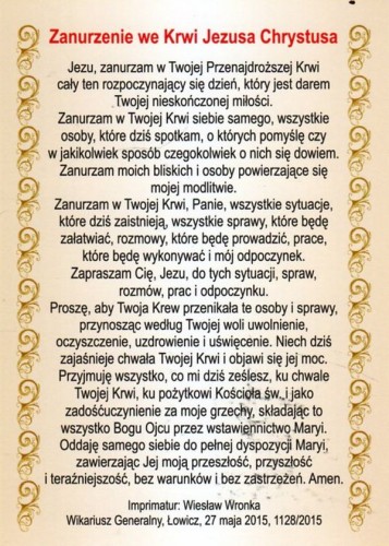Obrazek Zanurzenie we Krwi Jezusa Chrystusa - 06530