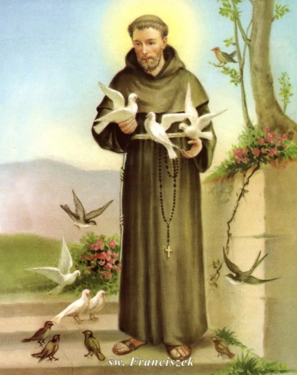 Obrazek (wkład) św. Franciszek - postać - 04891