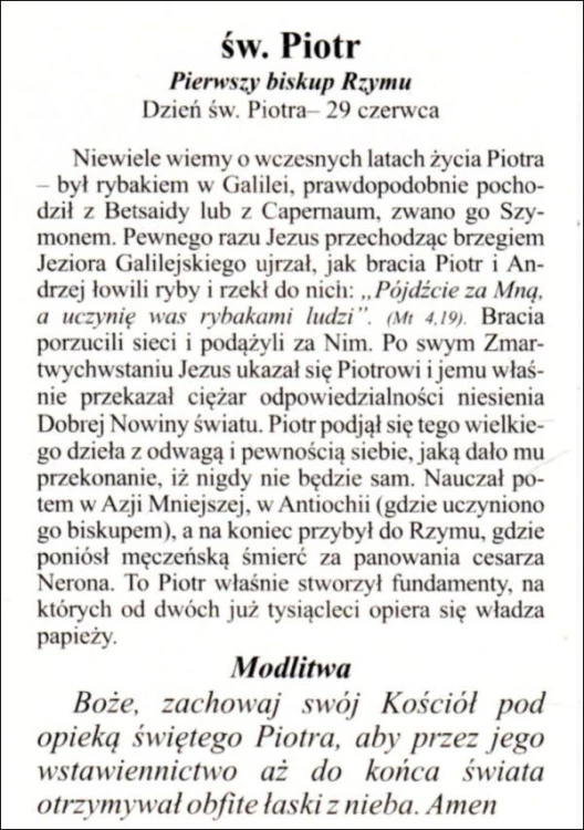 Obrazek św. Piotr. Pierwszy biskup Rzymu - 04217