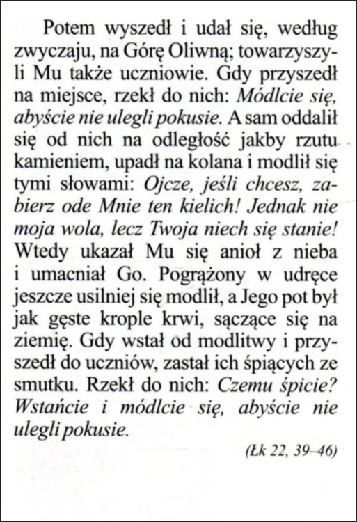 Obrazek Jezus modlący się w Ogrójcu - 03501