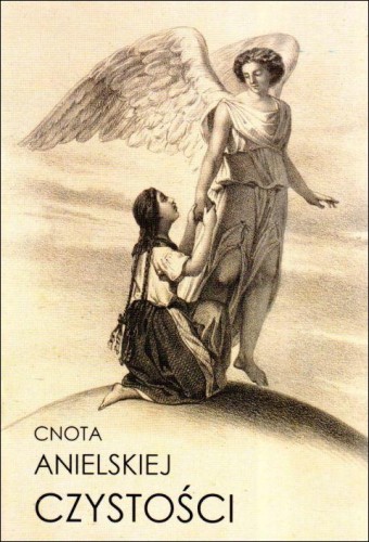 Cnota anielskiej czystości (książka) - -, anioły, NA JEJ GŁOWIE WYDAWNICTWO ŻYCIA WEWNĘTRZNEGO, 2022 r., oprawa miękka - 64468 9788367079259