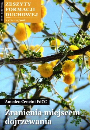 Zranienia miejscem dojrzewania - zeszyty formacji duchowej - o. Amedeo Cencini, naukowe, SALWATOR, 2016 r., oprawa miękka - 53620 9771426851606