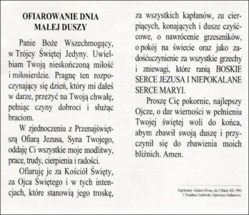 Folder składany Niepokalane Serce Maryi Najświętsze Serca Pana Jezusa. Ofiarowanie dnia małej duszy - 53205
