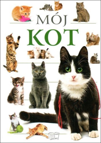 Mój kot (książka) - praca zbiorowa, albumy, PWH ARTI, 2023 r., oprawa zinegrowana - 48000 9788382751437