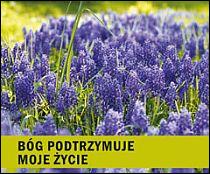 Bóg podtrzymuje moje życie - Aniołek dla Ciebie (książka), aforyzmy anegdoty, WYD. JUT, 2014 r., oprawa miękka - 43433 9788364402623