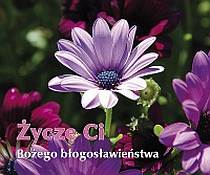 Perełki 215 - Życzę Ci Bożego błogosławieństwa (książka) - Renata Bocian  (wyb.) , aforyzmy anegdoty, Edycja św. Pawła, 2009 r., oprawa miękka - 27394 9788374246231