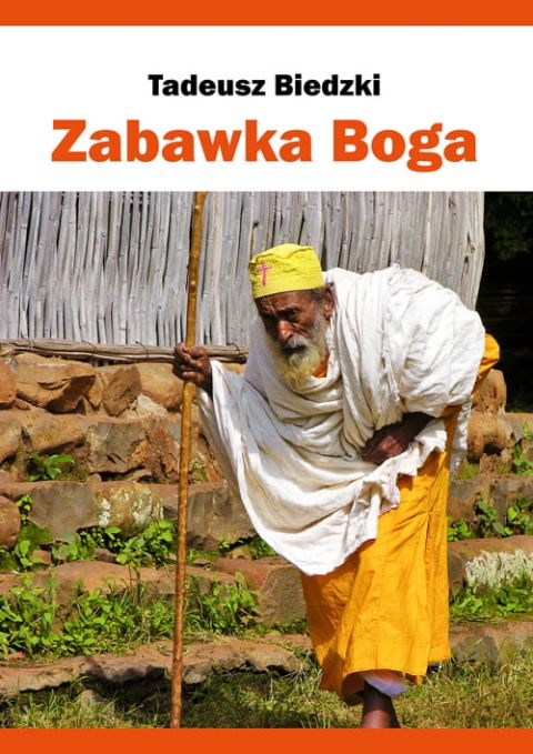 Zabawka Boga (książka) - Tadeusz Biedzki, powieść, Wydawnictwo Bernardinum, 2013 r., oprawa miękka ze skrzydełkami - 17491 9788378232506