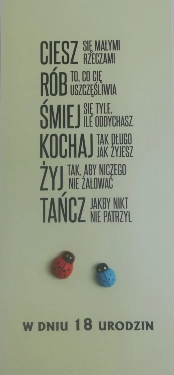 Karnet 18-ste URODZINY (biedronki) ręcznie robiony różne wzory - 12995
