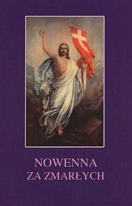 Nowenna za zmarłych (książka) - Stanisław Rospond CM  (opr.) , nowenny i modlitwy, Wydawnictwo Instytut Teologiczny Księży Misjonarzy, 2006 r., oprawa miękka - 20108 9788372165275