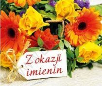 Perełka 276 - Z okazji imienin (książka) - -, sentencje, Edycja św. Pawła, 2017 r., oprawa miękka - 55707 9788377978207