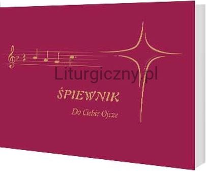 Do Ciebie Ojcze - Śpiewnik (książka) - Marek Mróz, śpiewniki, Wydawnictwo Archidiecezji Lubelskiej GAUDIUM, 2015 r., oprawa miękka - 49698 9788375482805