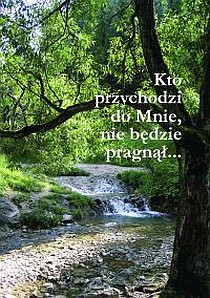 Kto przychodzi do mnie, nie będzie pragnął...-Boże pouczenia o Euchar. (książka) - Maria Valtorta, Eucharystia, Wydawnictwo Vox Domini, 2016 r., oprawa Miękka - 15274 9788386092819