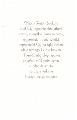 Posyłam Ci Anioła Spokoju - karnet z kopertą (s: Z aniołami 30) - 63022 5907564030076