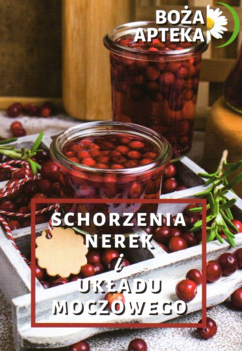 Boża apteka - schorzenia nerek i układu moczowego (książka) - Jolanta Koziej-Chołdzyńska, kuchnia, zdrowie, WYD. JUT, 2017 r., oprawa miękka - 54668 9788365504678