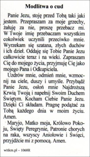 Obrazek Św. Peregryn patron chorych na raka. Modlitwa o cud - 53204