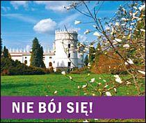 Nie bój się! Aniołek dla Ciebie (książka) - -, aforyzmy anegdoty, WYD. JUT, 2014 r., oprawa miękka - 43437 9788364402616
