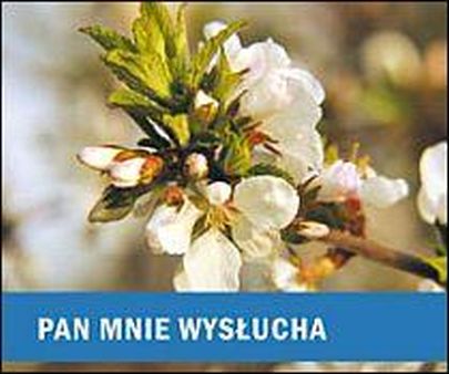Pan mnie wysłucha - Aniołek dla Ciebie (książka) - -, aforyzmy anegdoty, WYD. JUT, 2014 r., oprawa Miękka - 43436 9788364402609