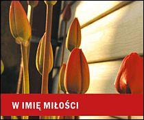 W imię miłości - Aniołek dla Ciebie (książka), aforyzmy anegdoty, WYD. JUT, 2014 r., oprawa miękka - 43434 9788364402647