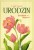Karnet Urodziny brokat B6 - 12926