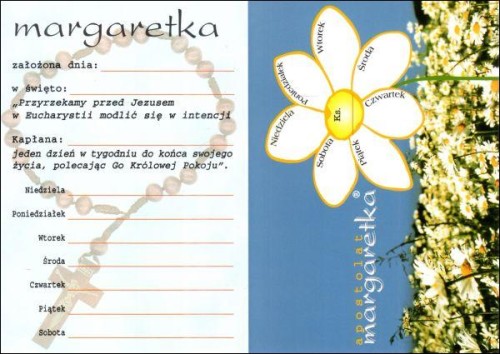 Margaretka - apostolat - 11439
