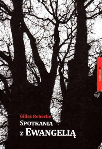 Spotkanie z Ewangelią (książka) - Gilles Rebeche, Ewangelia, F.PUSTELNIA.PL, 2021 r., oprawa miękka - 10586 9788395295720