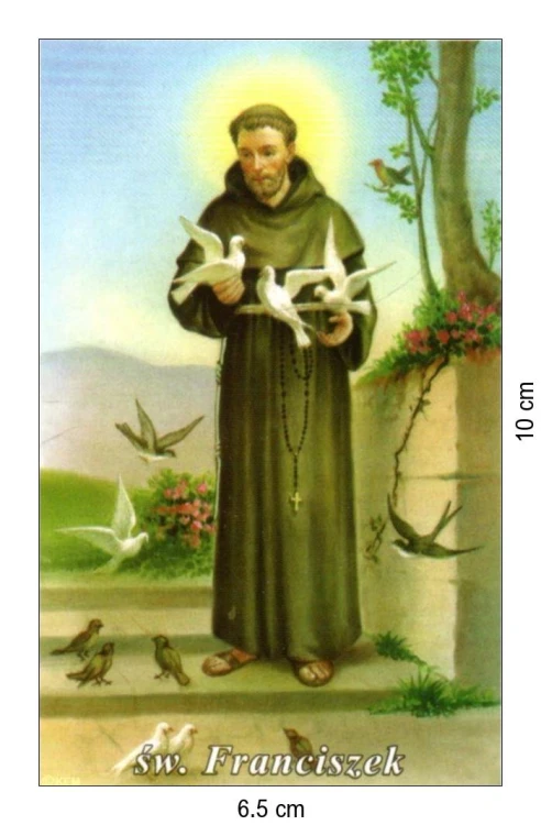 Obrazek laminowany św. Franciszek patron ekologów - 07367