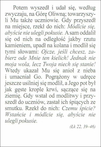 Obrazek Jezus modlący się. Potem wyszedł i udał się,... - 07158