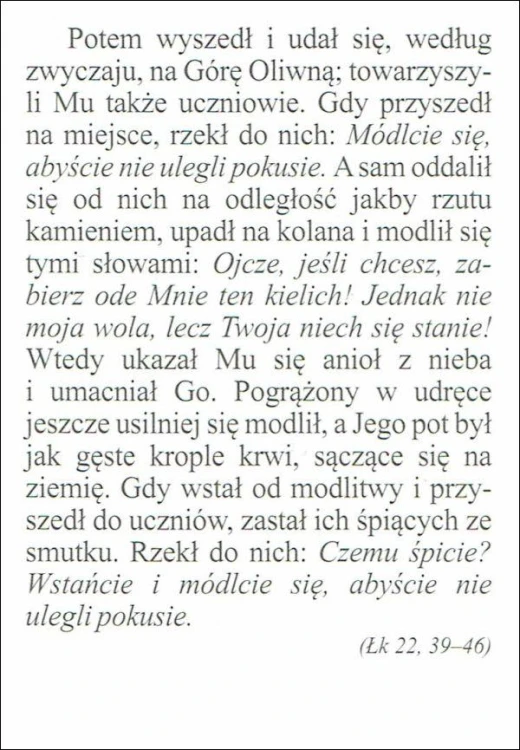Obrazek Jezus modlący się. Potem wyszedł i udał się,... - 07158