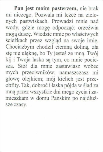 Obrazek Pasterz. Modlitwa: Pan jest moim pasterzem... - 07136