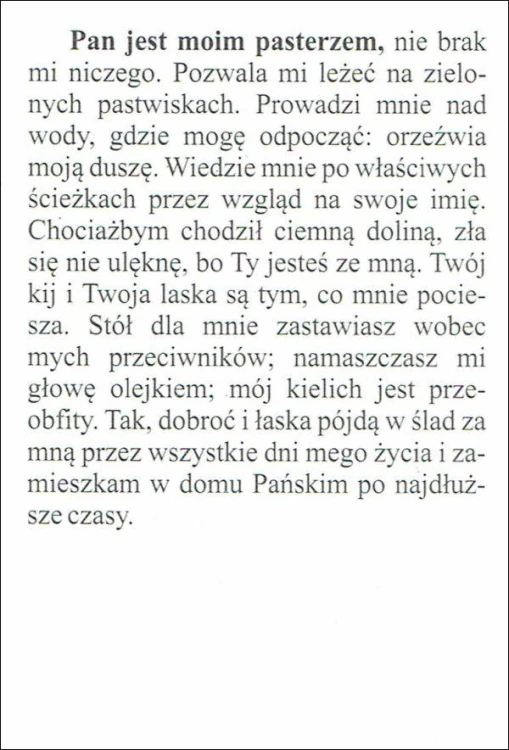 Obrazek Pasterz. Modlitwa: Pan jest moim pasterzem... - 07136