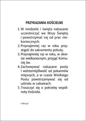 Obrazek Pan Jezus Dobry Pasterz. Przykazania Kościelne - ! - 06277