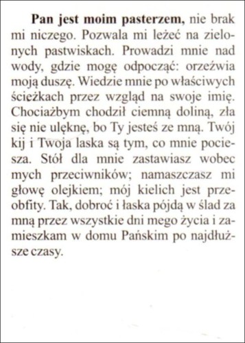 Obrazek Pasterz. Modlitwa: Pan jest moim pasterzem... - 04274