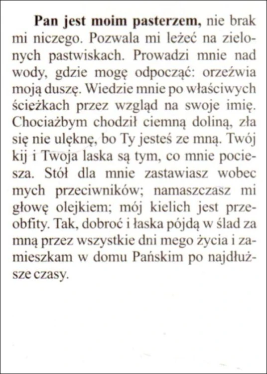 Obrazek Pasterz. Modlitwa: Pan jest moim pasterzem... - 04274
