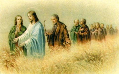 Obrazek Jezus siewca. Modlitwa - 04235
