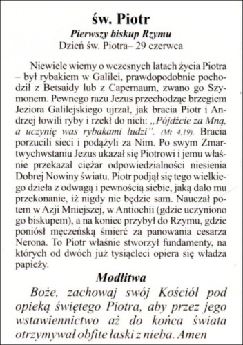 Obrazek św. Piotr. Pierwszy biskup Rzymu - 04217