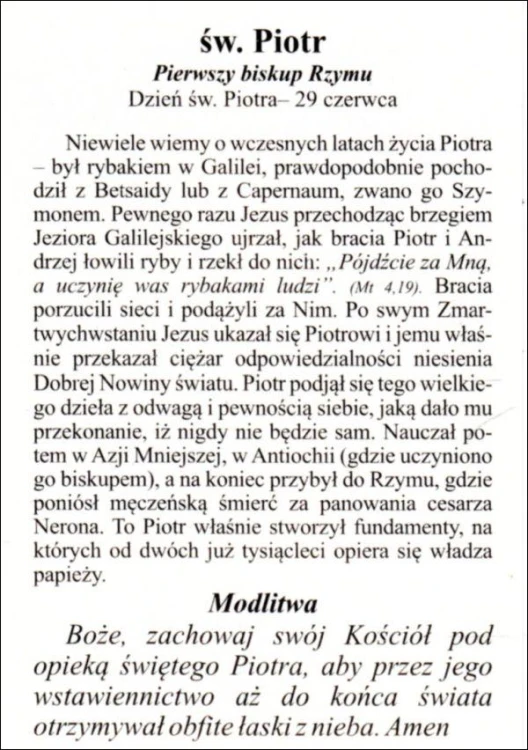 Obrazek św. Piotr. Pierwszy biskup Rzymu - 04217