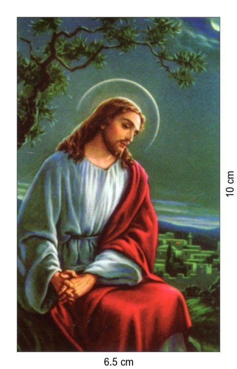 Obrazek Jezus w ogrójcu. Potem poszedł i udał się... - 03527