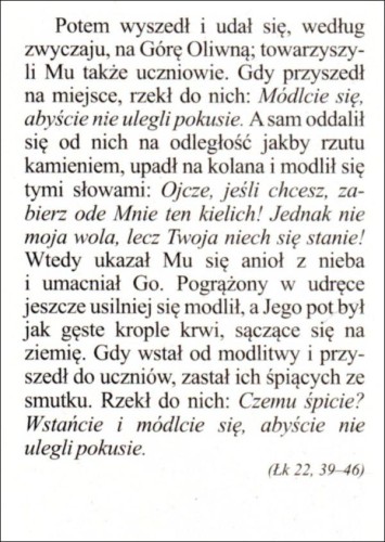Obrazek Jezus w ogrójcu. Potem poszedł i udał się... - 03527