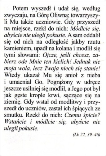 Obrazek Jezus modlący się w Ogrójcu - 03501