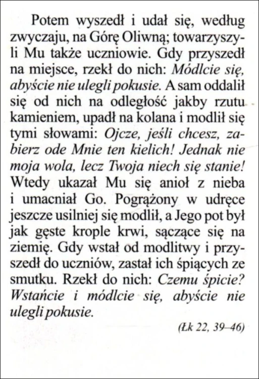 Obrazek Jezus modlący się w Ogrójcu - 03501