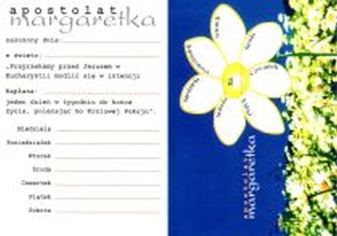Margaretka - 02324
