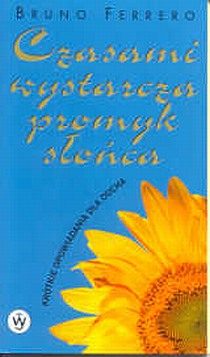 Czasami wystarcza promyk słońca (książka) - Bruno Ferrero, młodzież, Wydawnictwo Salezjańskie - Warszawa, 2001 r., oprawa miękka - 00873 9788372010490