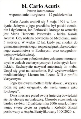 Obrazek Św. Carlo Acutis. Patron internautów - 03922